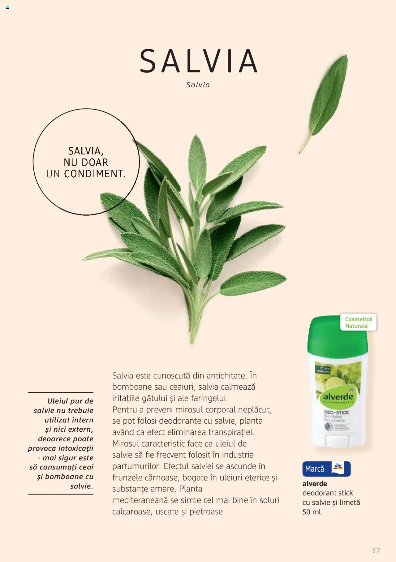 Noul catalog DM drogeriemarkt – valabil de la 01.01.2022 | Pagină: 37