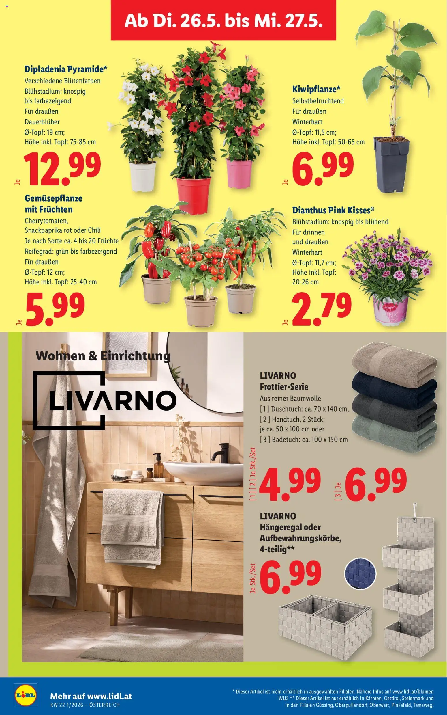 Lidl Flugblatt - Oberpullendorf, Güssing, Oberwart gültig ab 21.05.2026 | Seite: 29 | Produkte: Chili
