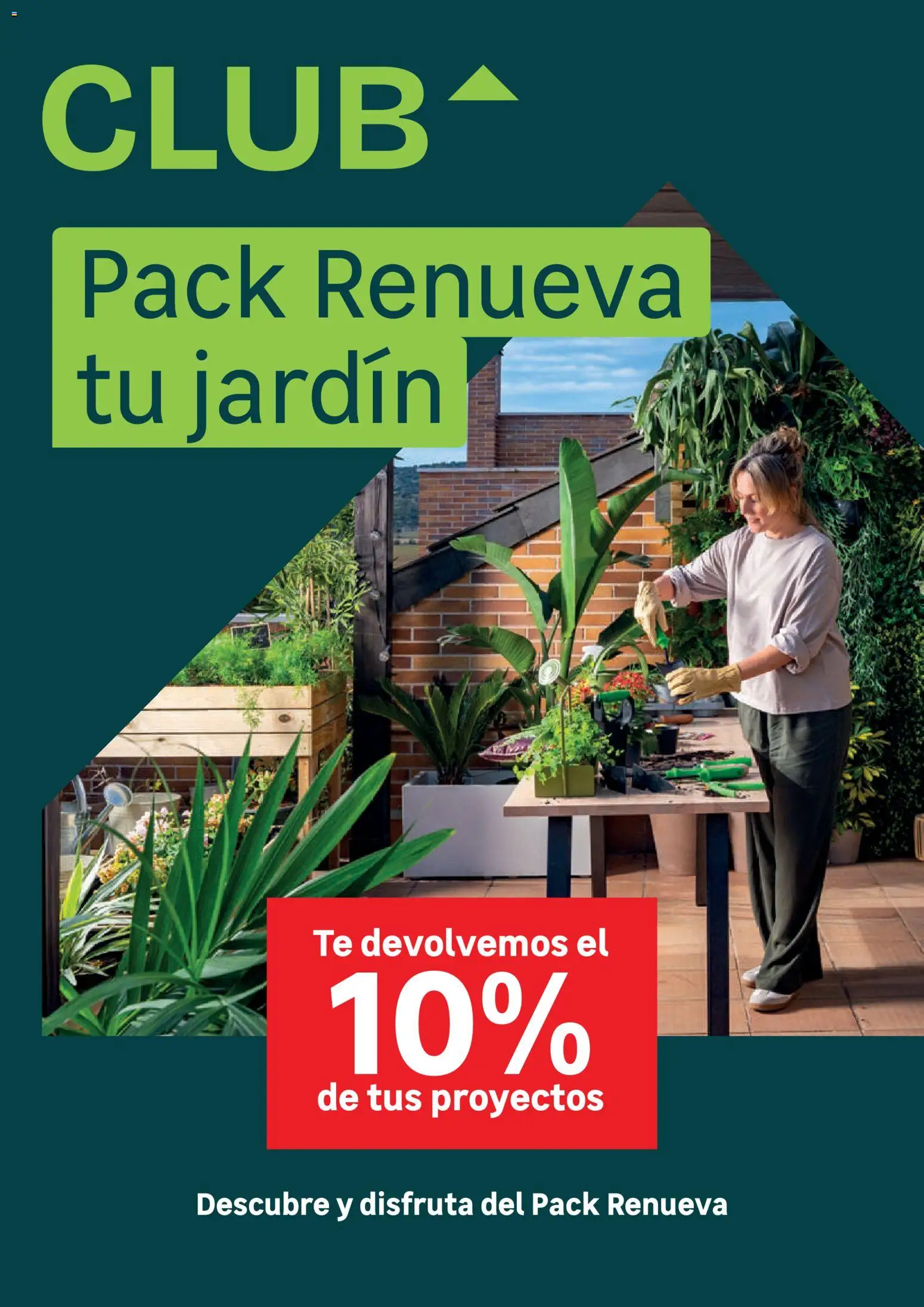 Leroy Merlin catálogo │ válido desde el 24.03.2026 | Página: 5 | Productos: Té