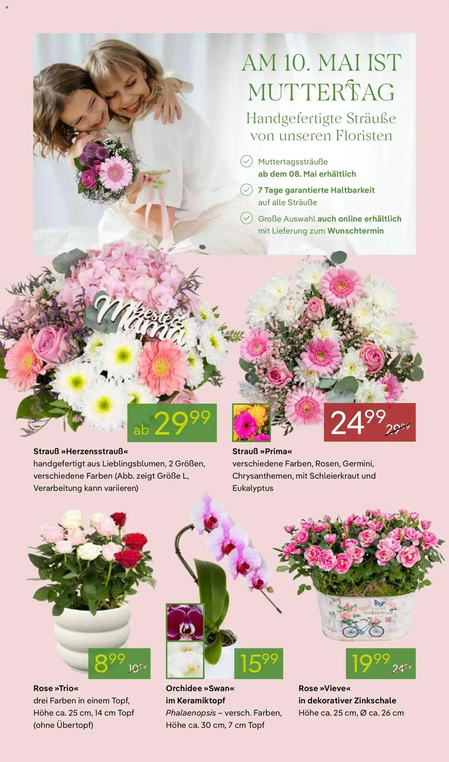 Pflanzen-Kölle Prospekt Muttertag – gültig ab 03.05.2026 | Seite: 2 | Produkte: Orchidee