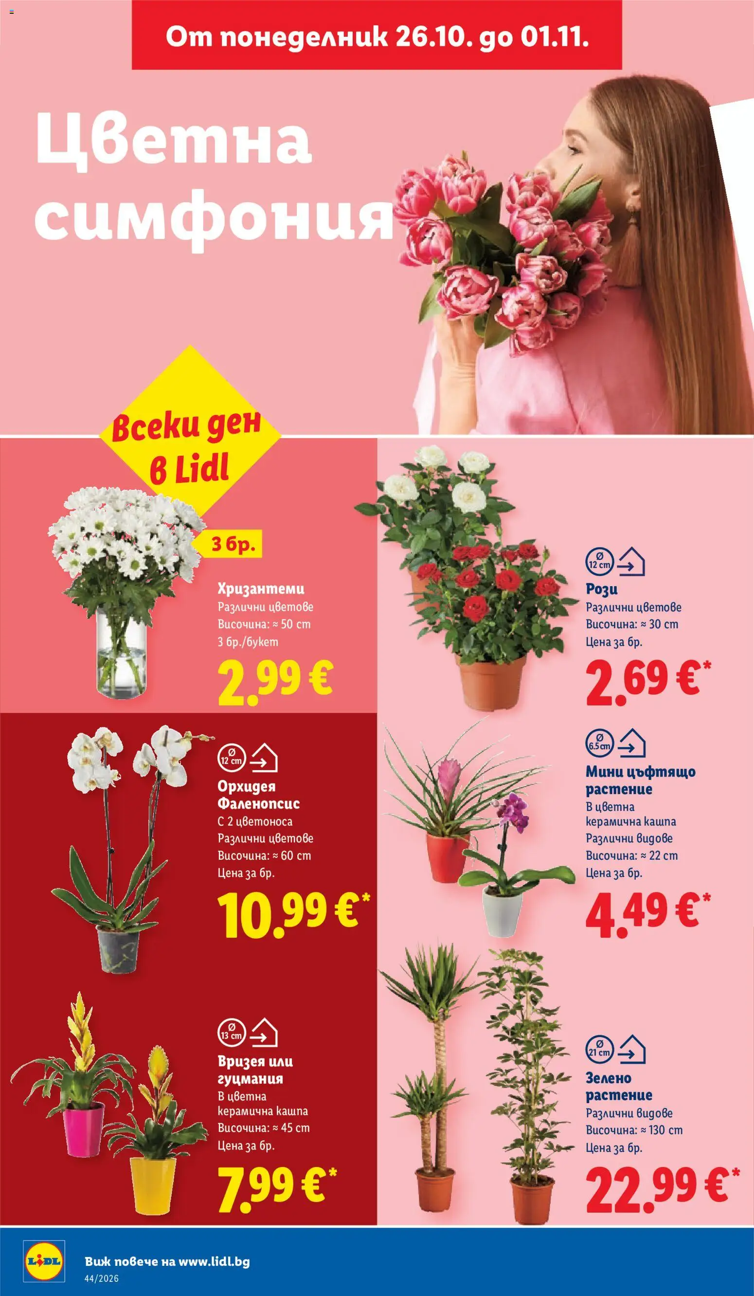 {H1} | Страница: 50 | Продукти: Кашпа, Орхидея