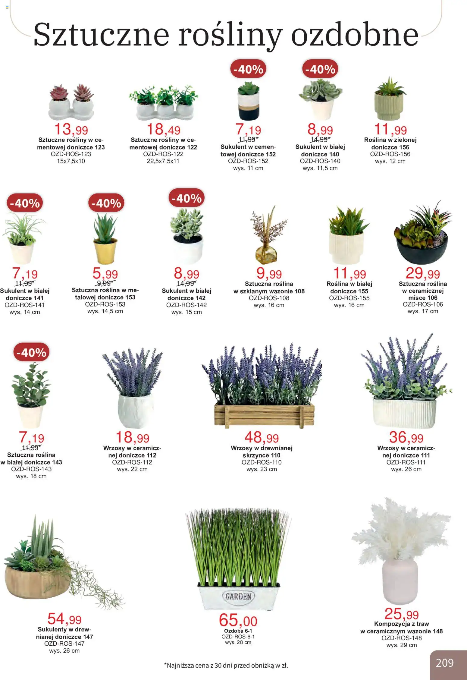 Bodzio Katalog od 01.10.2026 | Strona: 209 | Produkty: Rosliny, Sukulenty