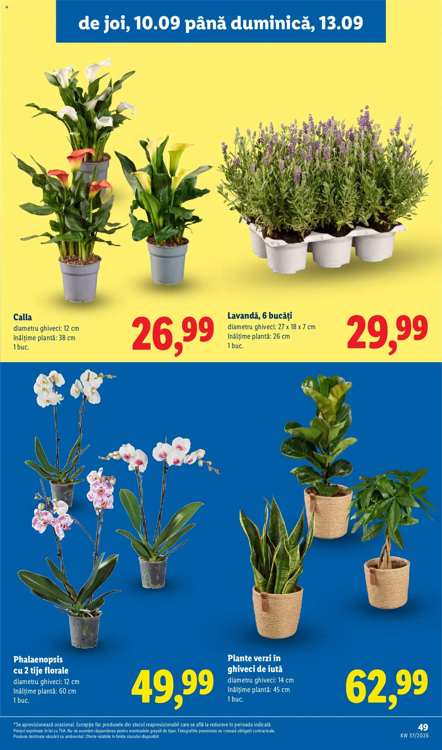 Noul catalog Lidl – valabil de la 07.09.2026 | Pagină: 49