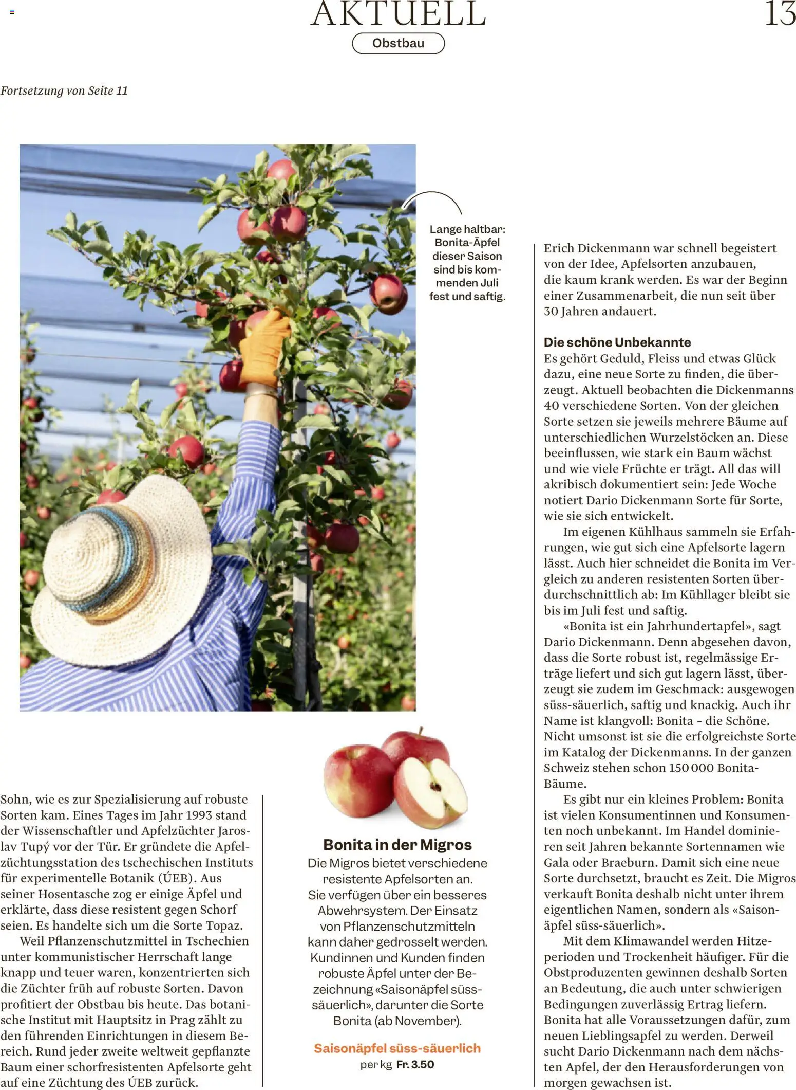 Migros aktionen Magazine – gültig ab 21.10.2026 | Seite: 13