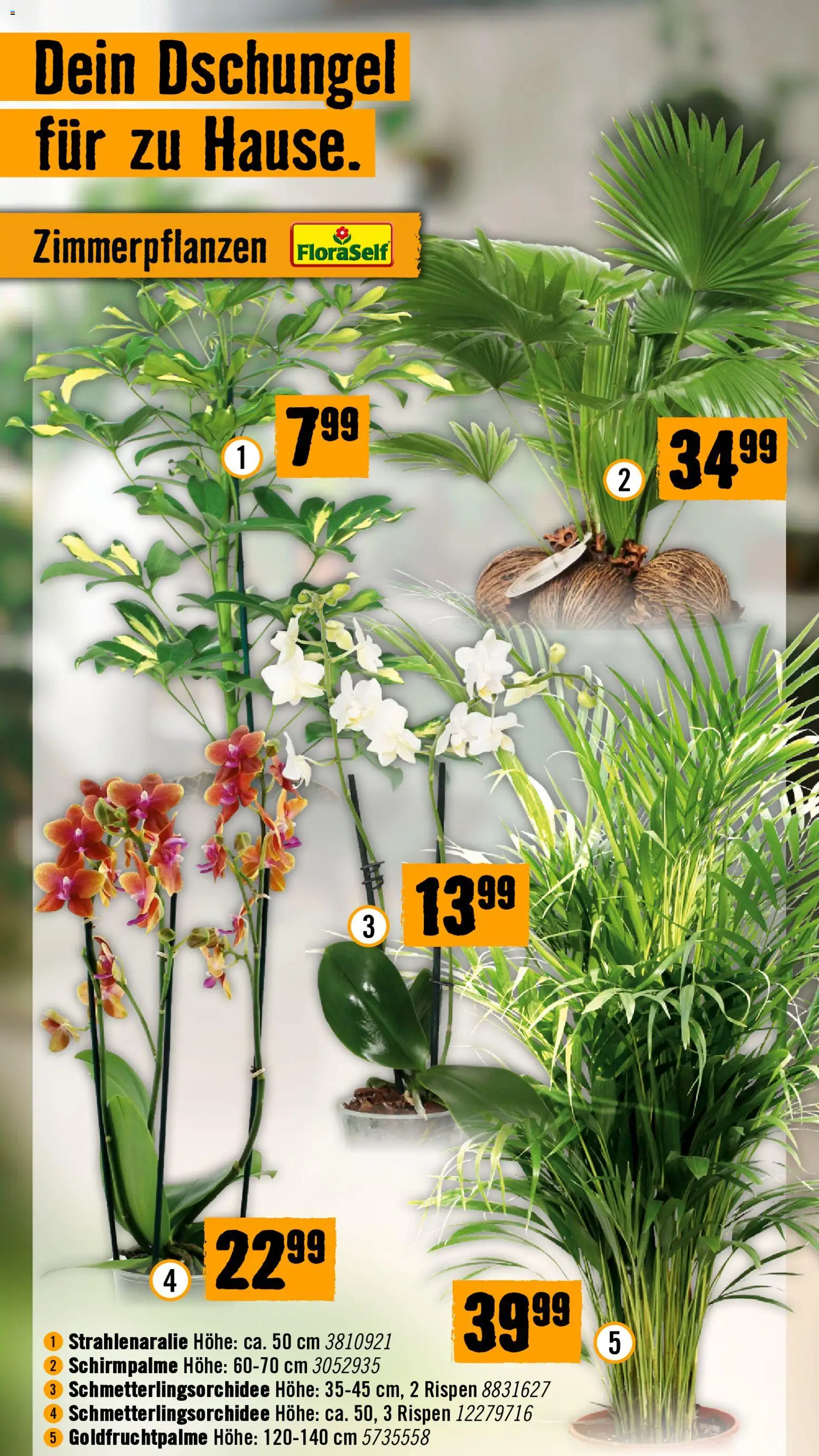 Hornbach Flugblatt gültig ab 16.09.2026 | Seite: 42
