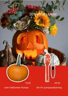 Plantagen erbjudanden Halloween - Förhandsvisning av reklamblad från butik Plantagen aktuell från 16/10/2026 | Sida: 3 | Produkter: Set, Pumpa