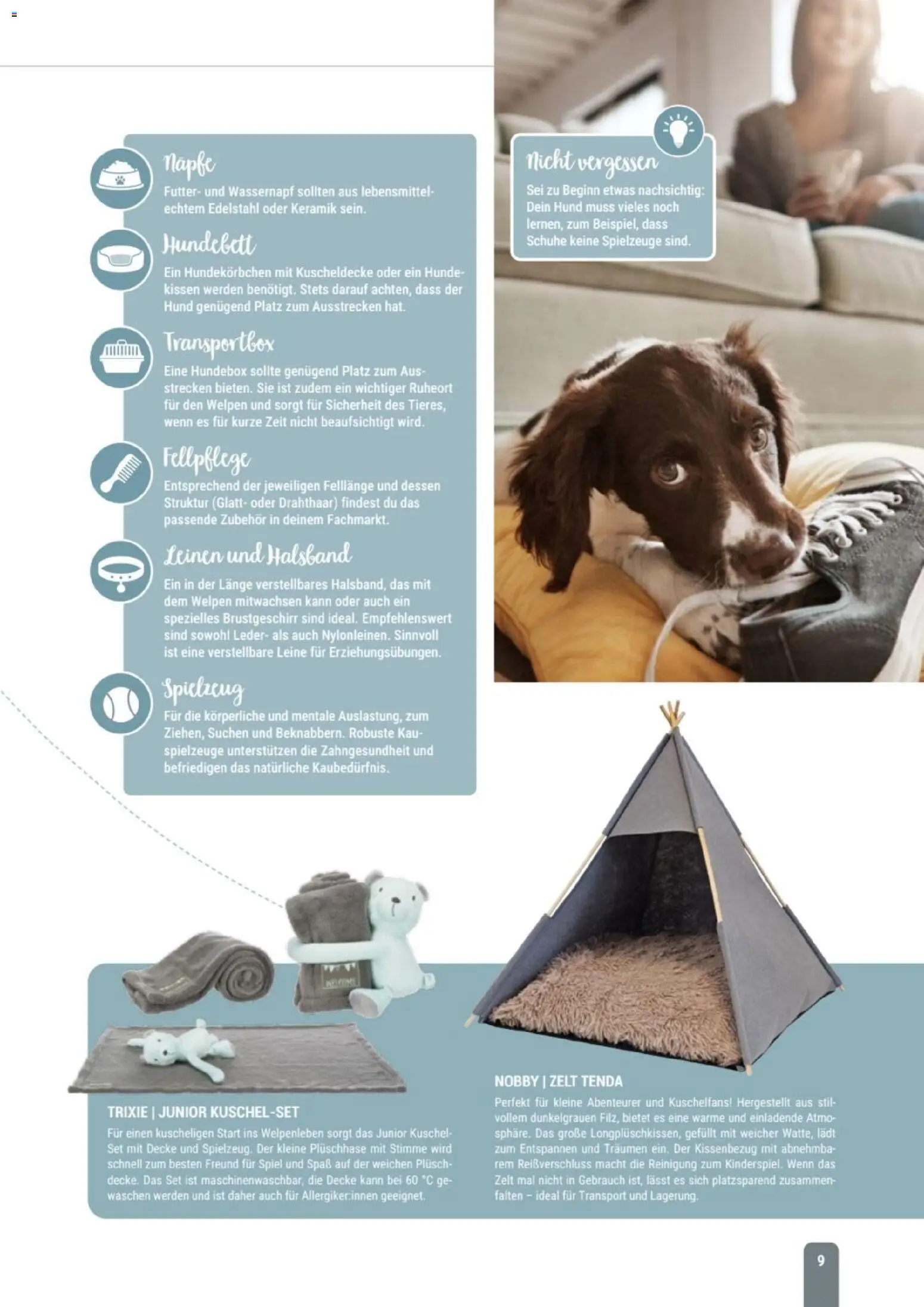 zookauf Themenkatalog Hund – gültig ab 18.05.2026 | Seite: 9 | Produkte: Spiel, Kissen, Decke