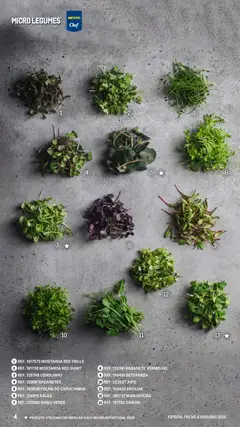 Pré-visualização Makro Especial Frutas e Verduras 2026 válido de 06.03.2026 | Página: 4 | Produtos: Ervilha, Beterraba