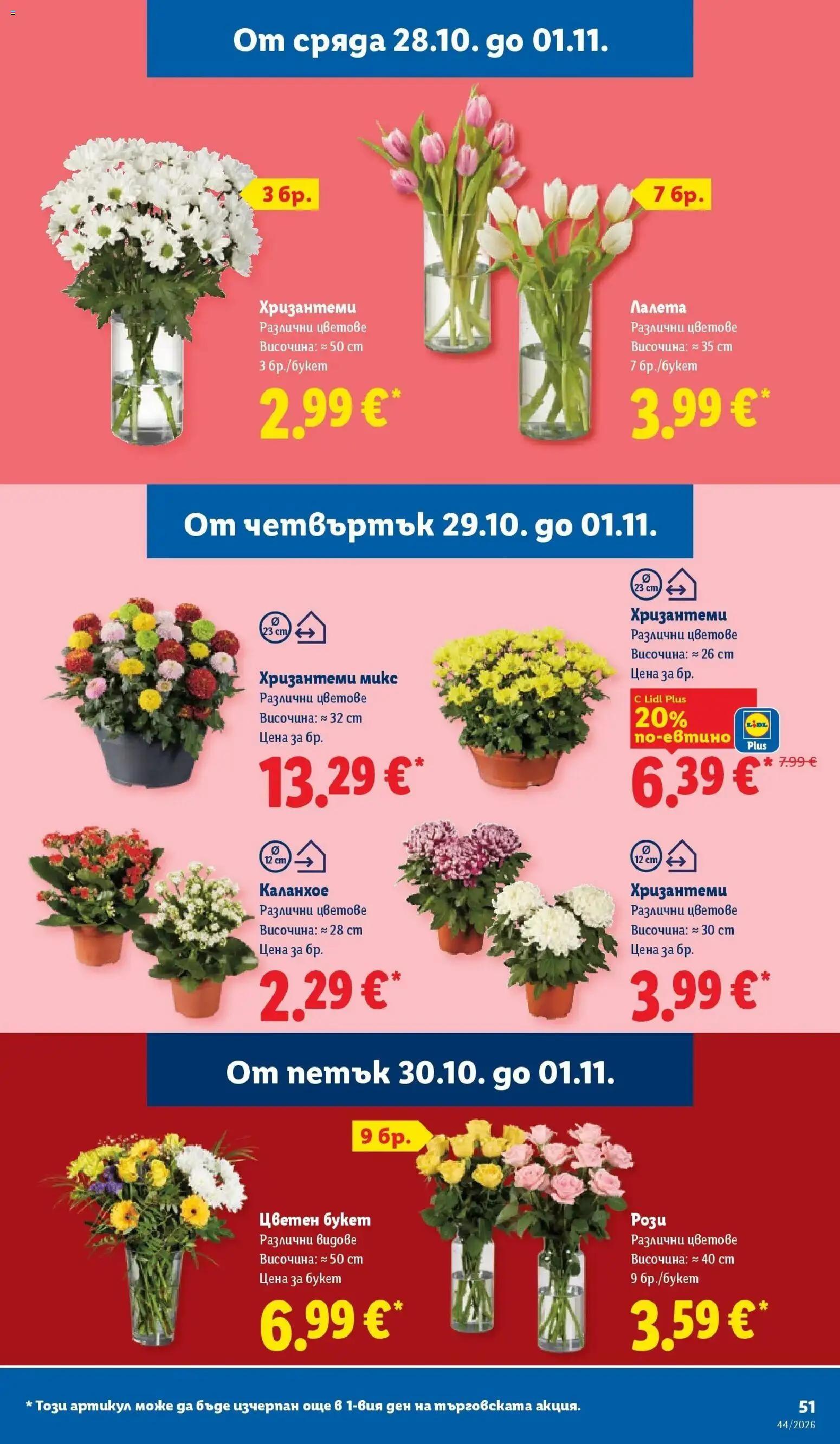 {H1} | Страница: 51 | Продукти: Лалета