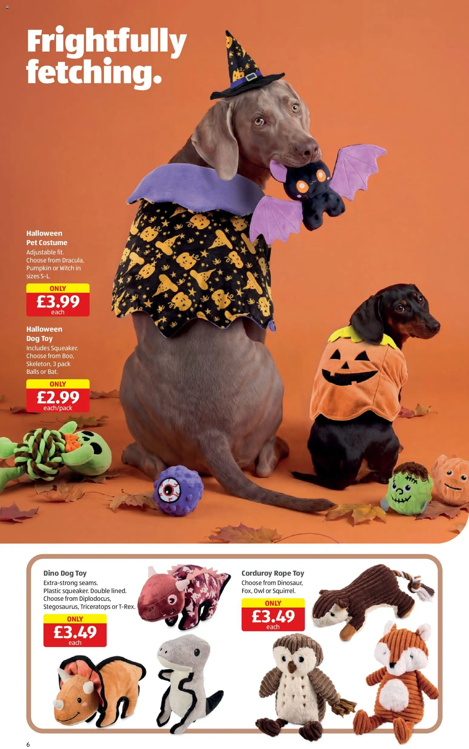 {H1} | Page: 6 | Products: Pumpkin, Toy