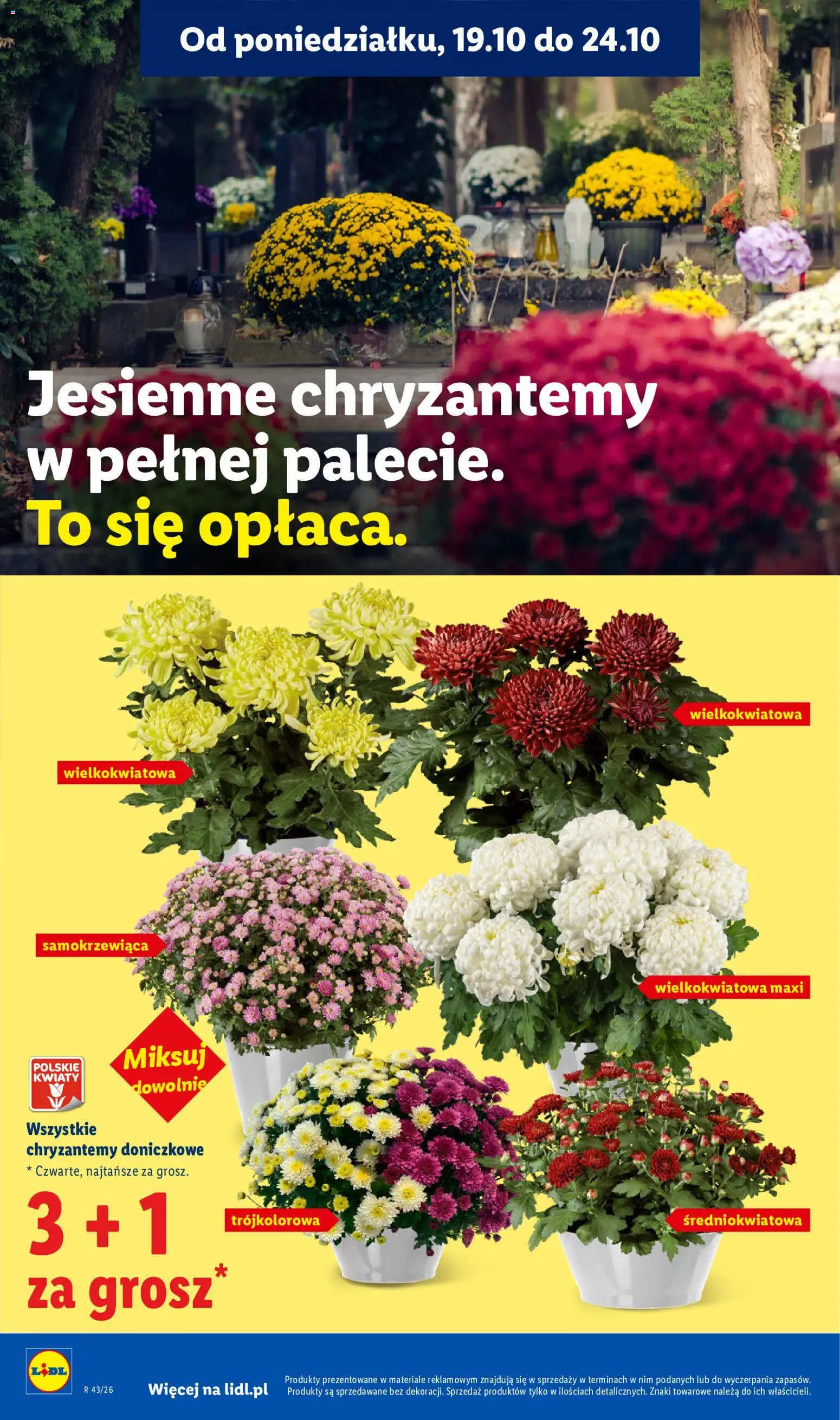 Lidl Polsko katalog od 22.10.2026 | Strana: 102