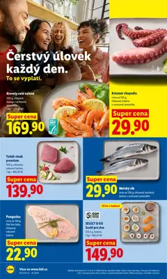 Náhled letáku Tuňák steak premium, 300 g, chlazený, vakuově baleno, 1 kg = 466,33 Kč od 05.11.2026 | Strana: 16