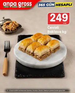 03 Eylül 2026 tarihinden itibaren geçerli olan Anpa Gross kataloğu önizlemesi