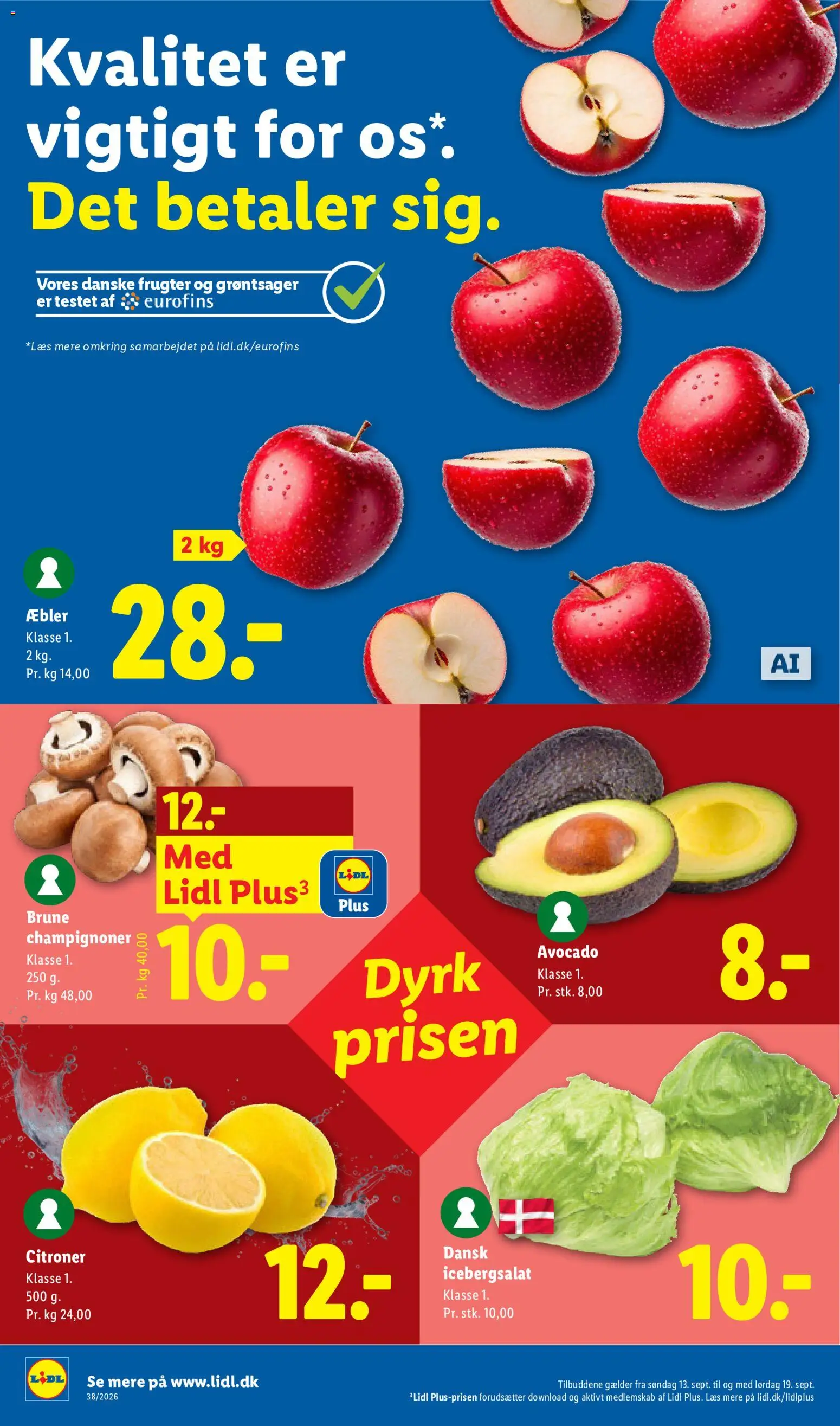 Lidl tilbudsavis – gyldig fra 13/09/2026 | Side: 19 | Produkter: Æbler, Citroner, Avocado, Icebergsalat