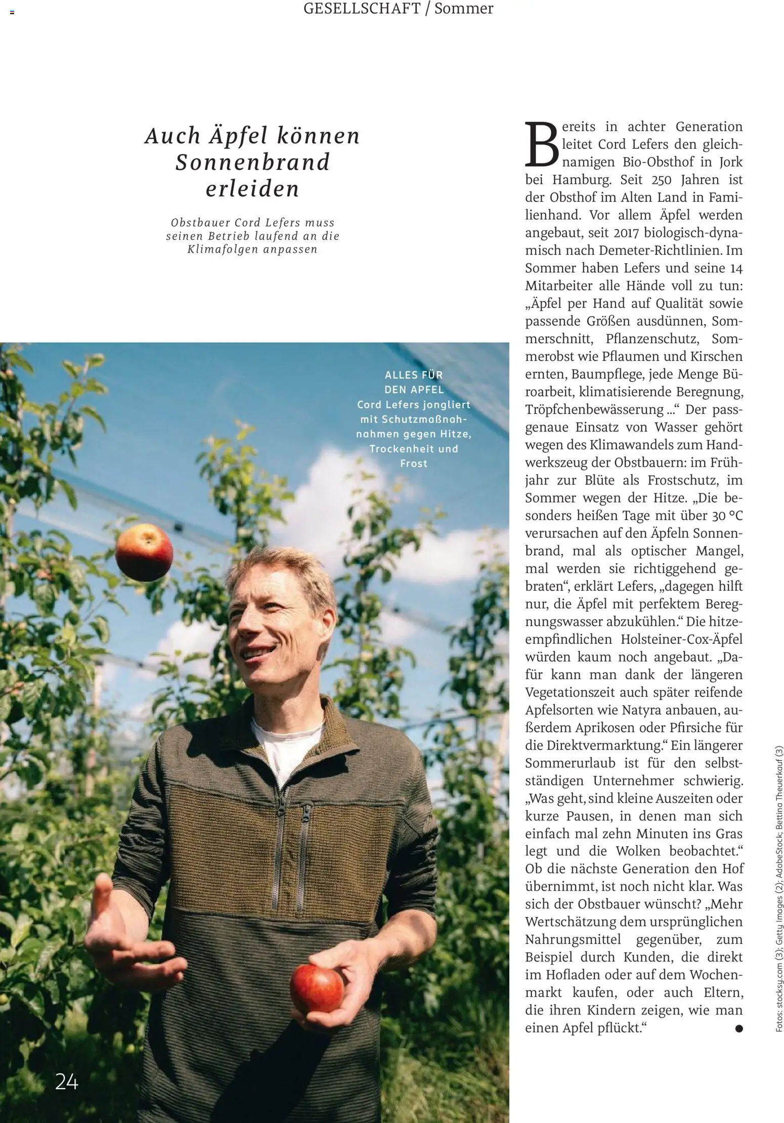 Rossmann Centaur – gültig ab 01.08.2026 | Seite: 24 | Produkte: Pflaumen, Äpfel, Kirschen, Wasser