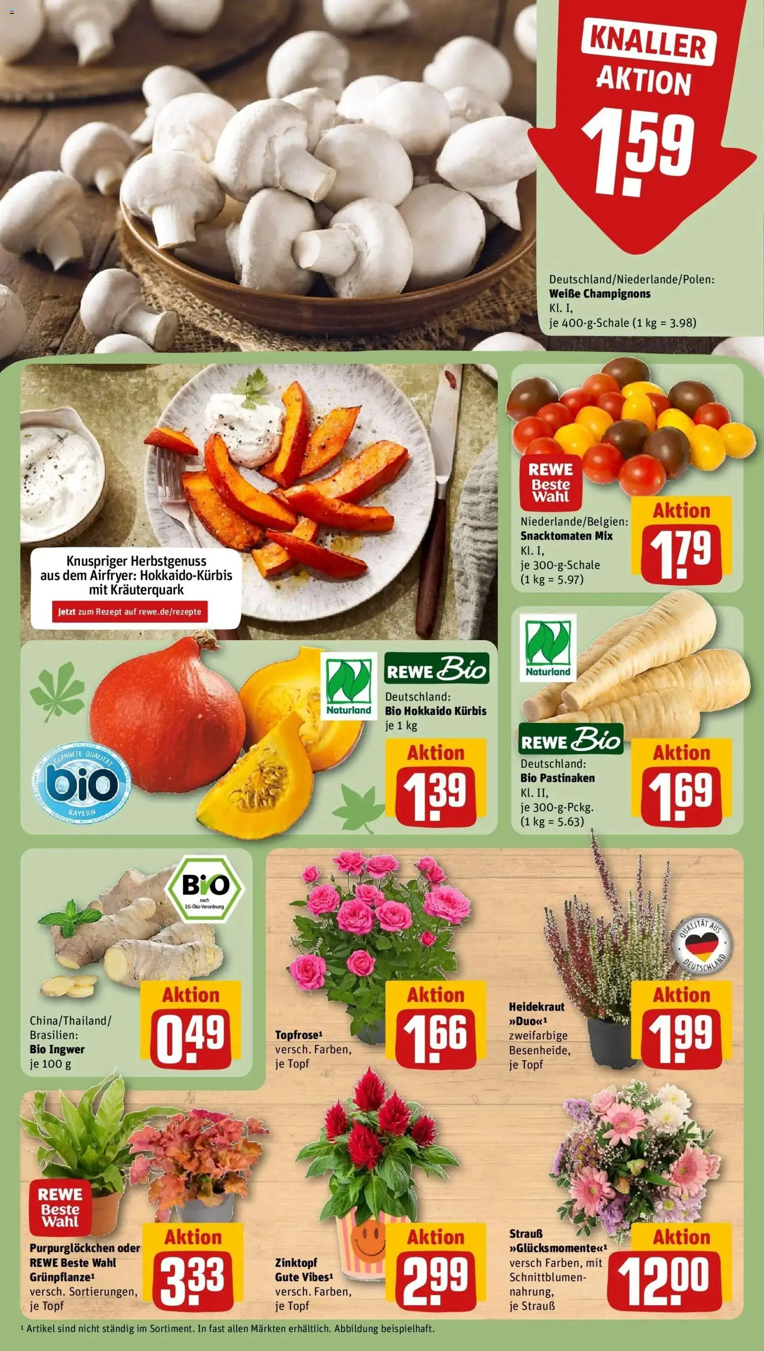 REWE Prospekt ab 28.09.2026 zum Blättern » Angebote | Seite: 13 | Produkte: Champignons, Kürbis