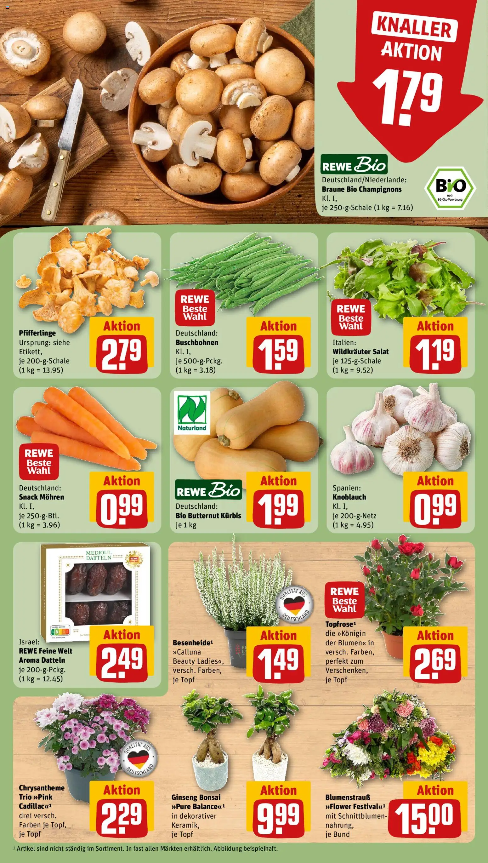 Rewe Prospekt – gültig ab 31.08.2026 | Seite: 7