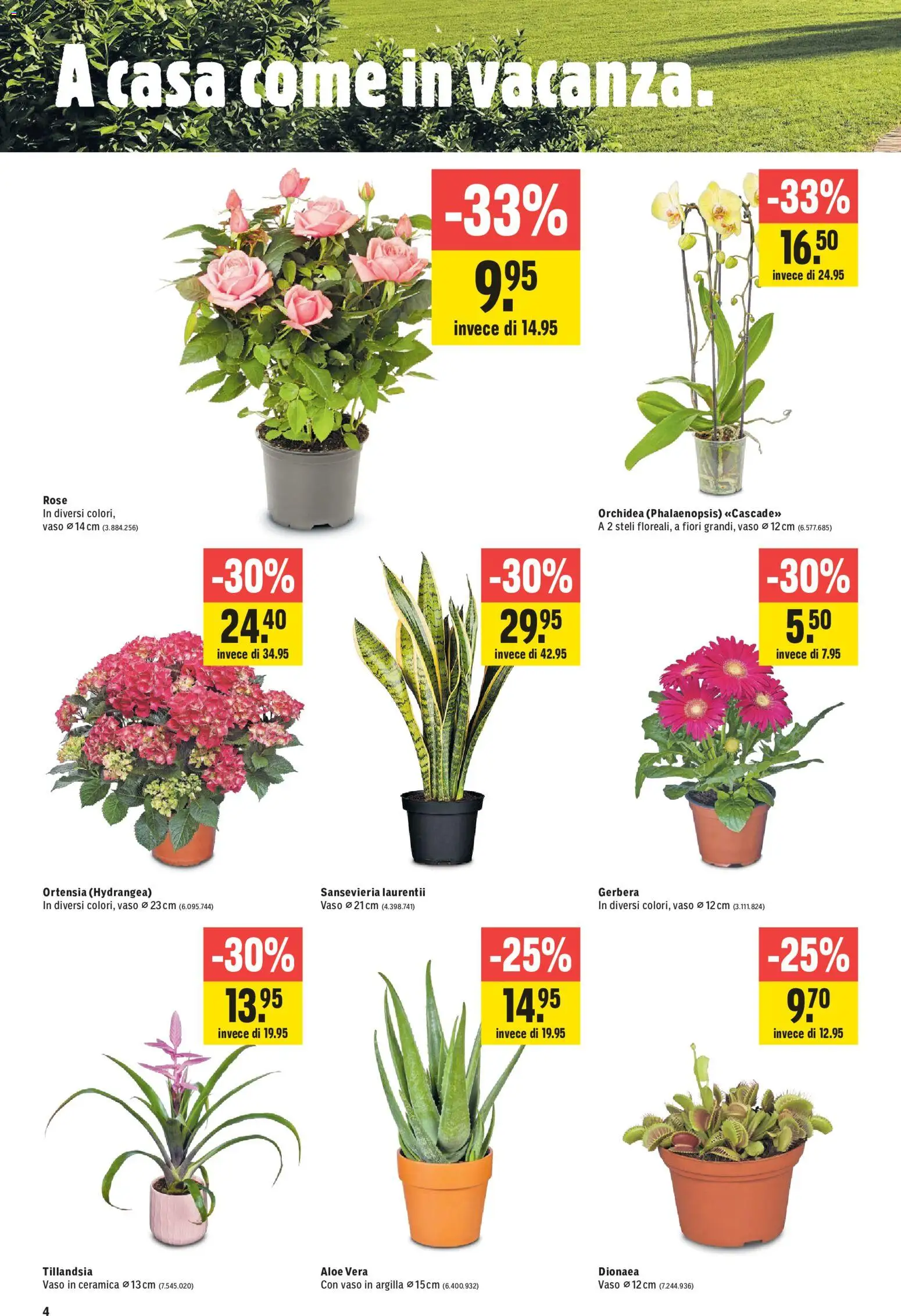 Jumbo aktionen IT – gültig ab 04.06.2026 | Seite: 4
