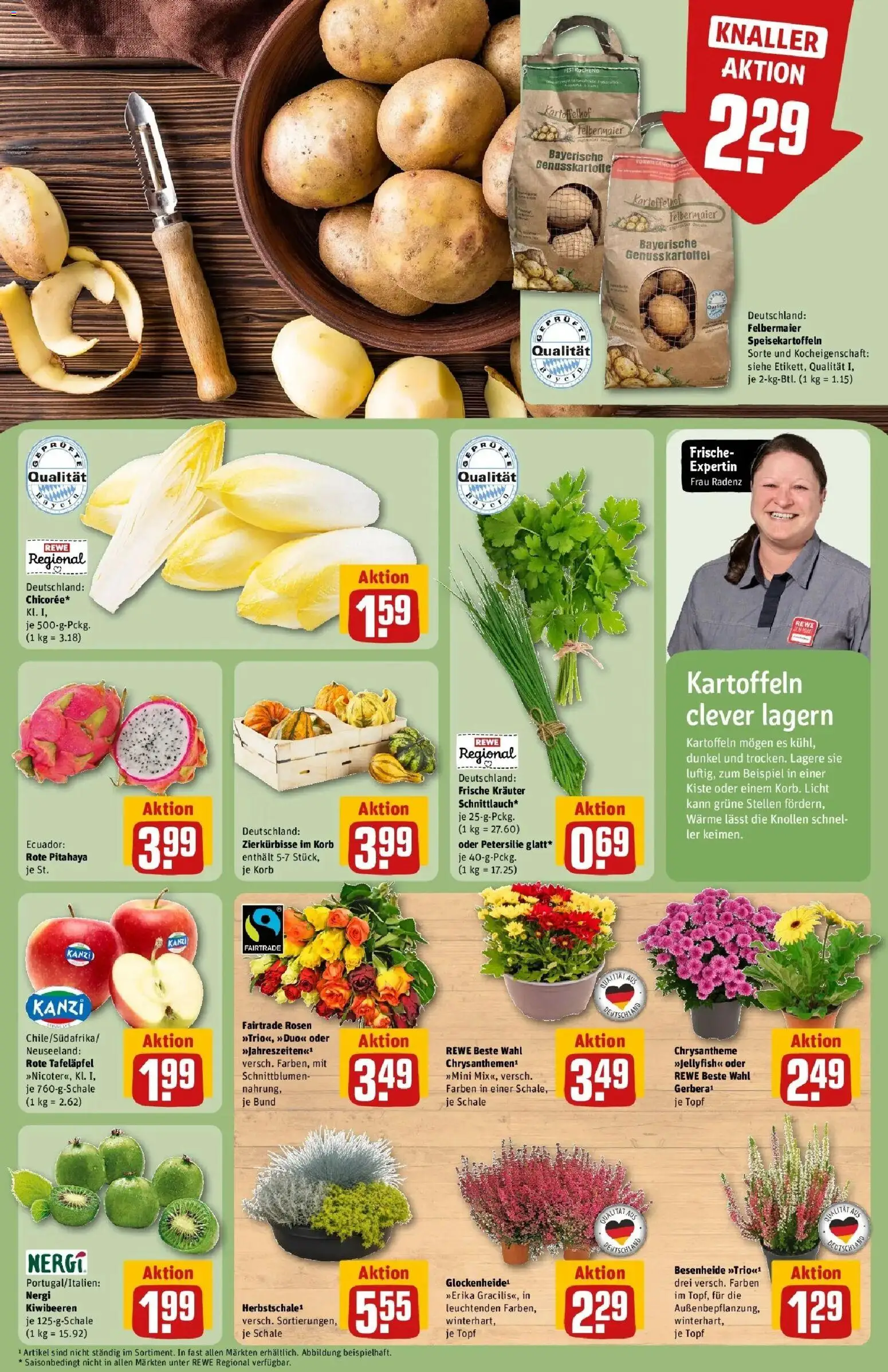 REWE Prospekt ab 21.09.2026 zum Blättern » Angebote | Seite: 13 | Produkte: Korb, Kartoffeln, Petersilie