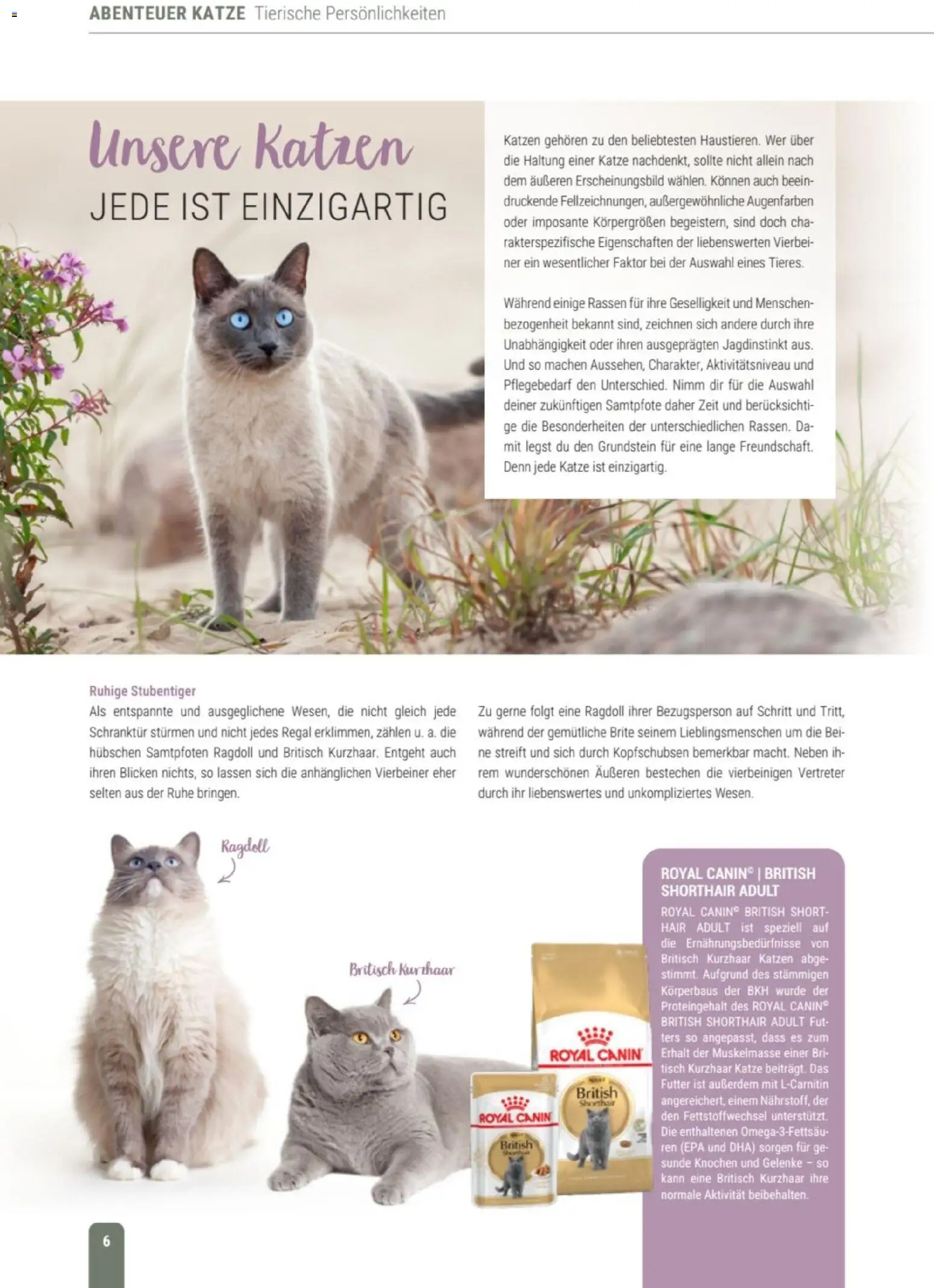 zookauf Themenkatalog Katze – gültig ab 01.10.2026 | Seite: 6 | Produkte: Regal, Tisch