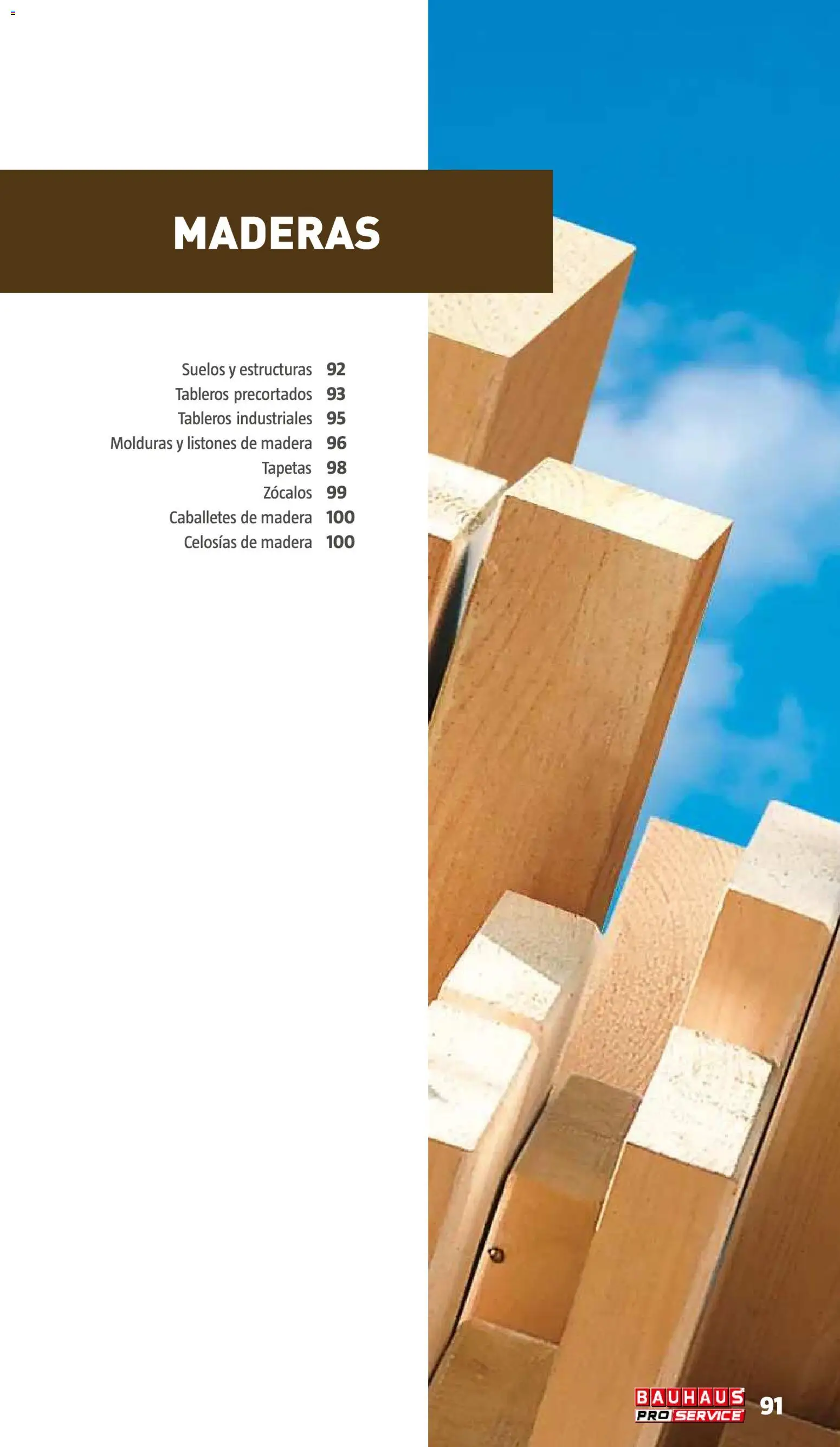 Bauhaus ProService │ válido desde el 11/05/2026 | Página: 91