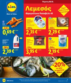 Lidl φυλλαδιο Λεμεσός - Φραγκλίνου Ρούσβελτ 45 σε ισχύ από 08/10/2026