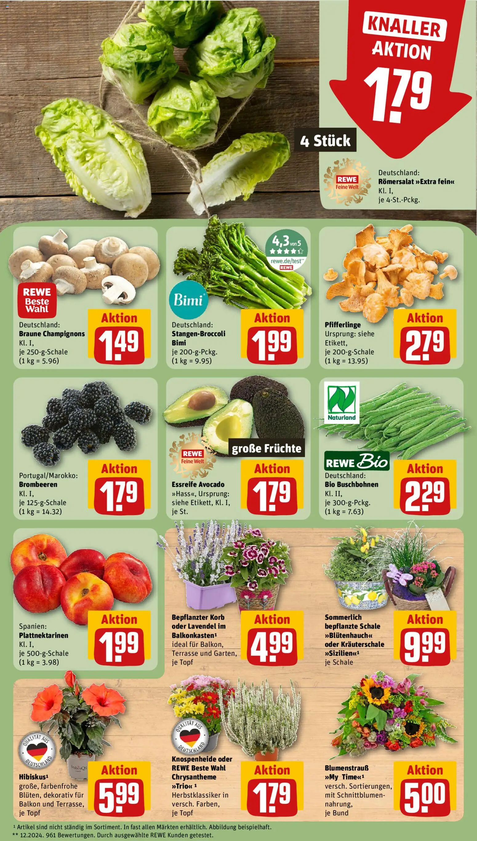 Rewe Prospekt – gültig ab 17.08.2026 | Seite: 9 | Produkte: Korb, Avocado, Champignons, Pfifferlinge