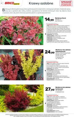 Pogląd oferty "Brico Marché gazetka - Wiosna" - ważna od 04.03.2026 | Strona: 61