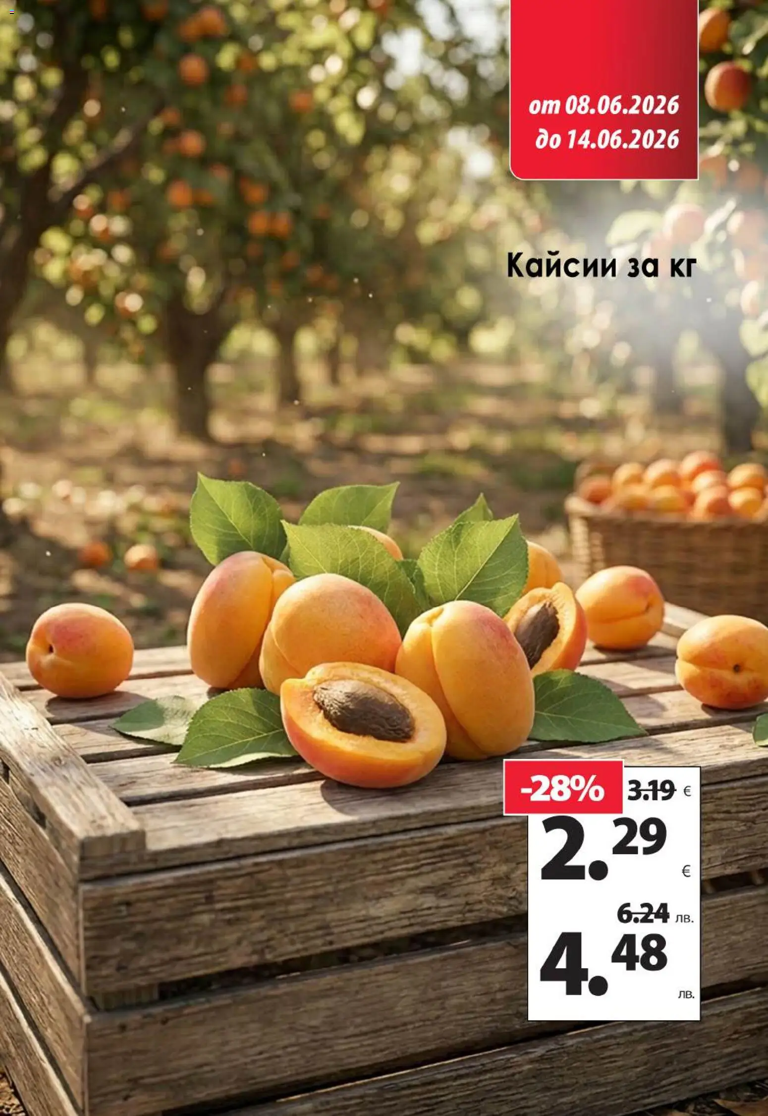 {H1} | Страница: 2 | Продукти: Кайсии
