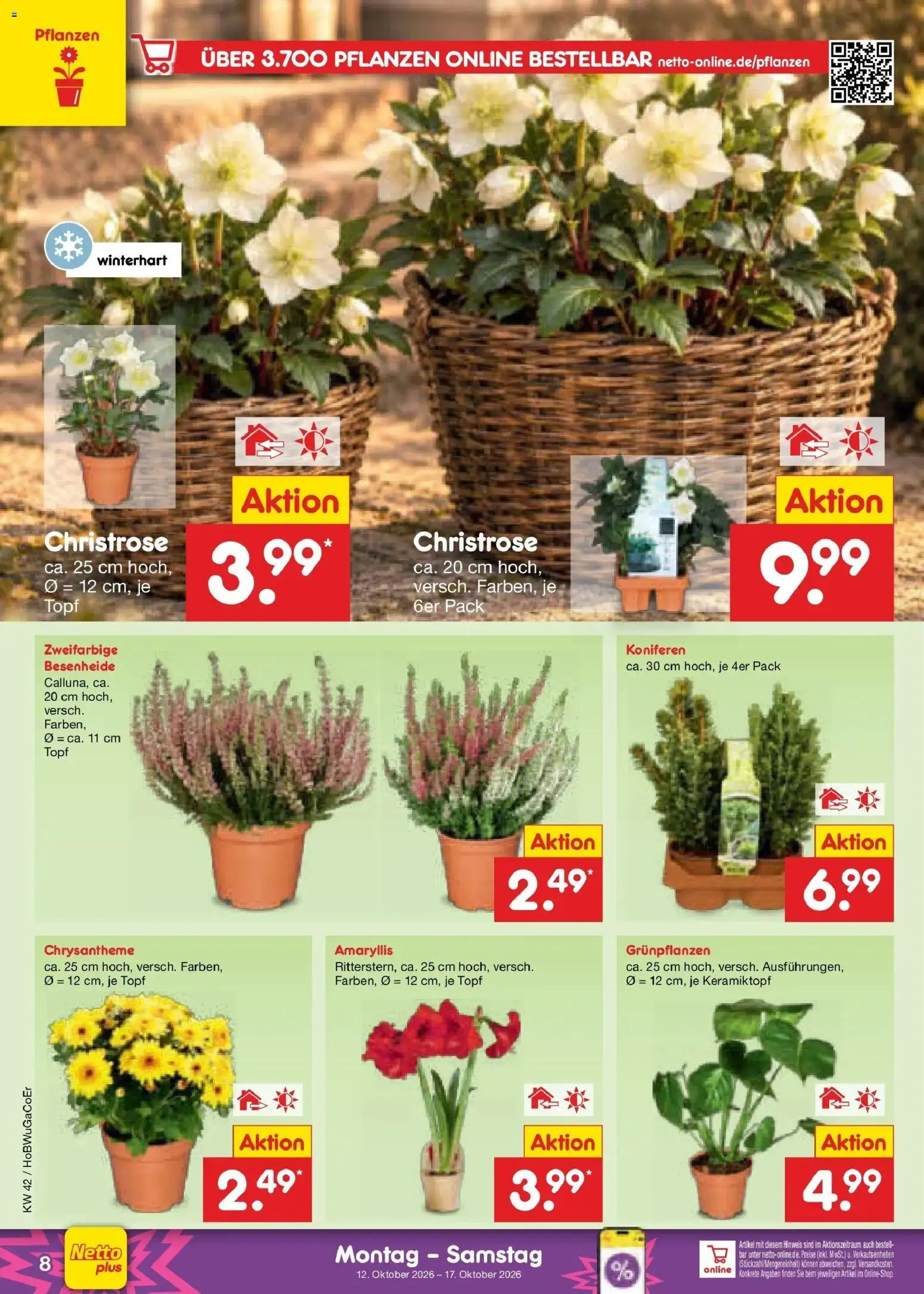 Netto Marken-Discount Prospekt Oldenburg (ab 12.10.2026) » Angebote | Seite: 10