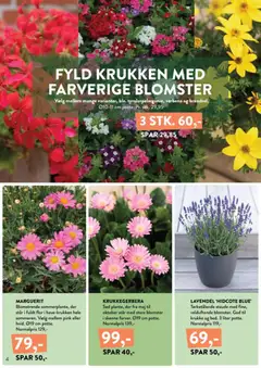 Plantorama - Smugkig avisen gyldig fra 08.05.2026 | Side: 4 | Produkter: Krukke