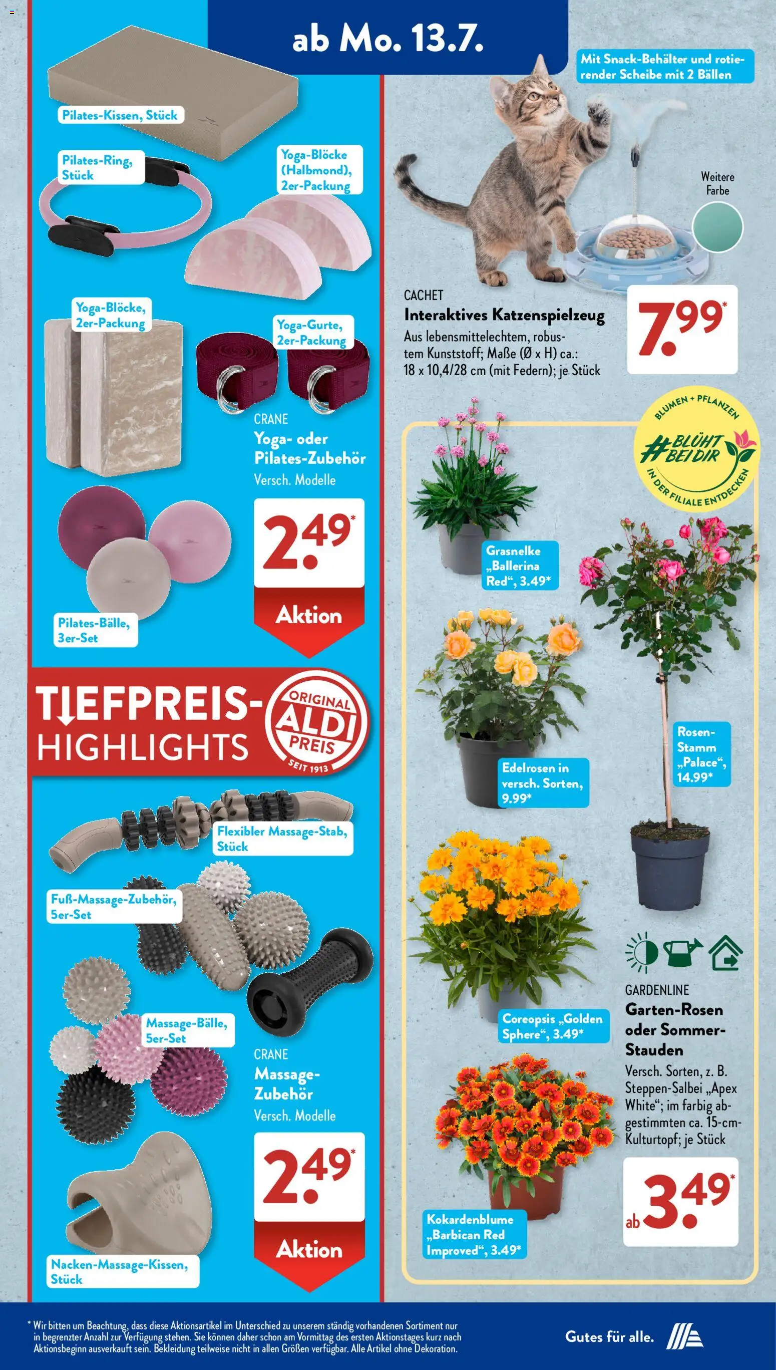 Aldi Süd Prospekt – gültig ab 13.07.2026 | Seite: 4 | Produkte: Blumen, Bekleidung