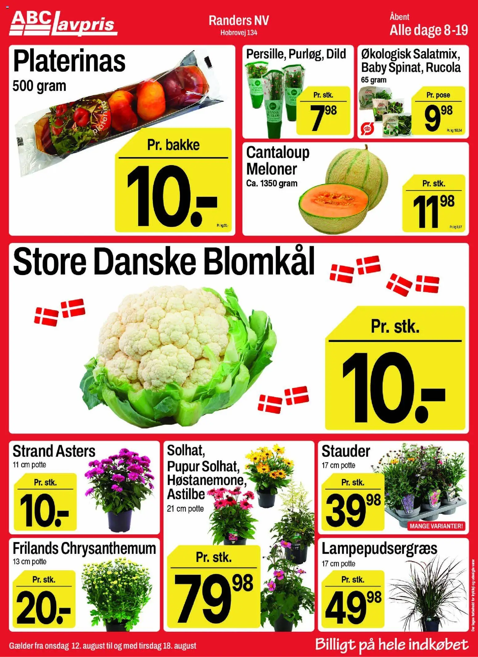 Abc Lavpris tilbudsavis – gyldig fra 12/08/2026 | Side: 2 | Produkter: Dild, Blomkål