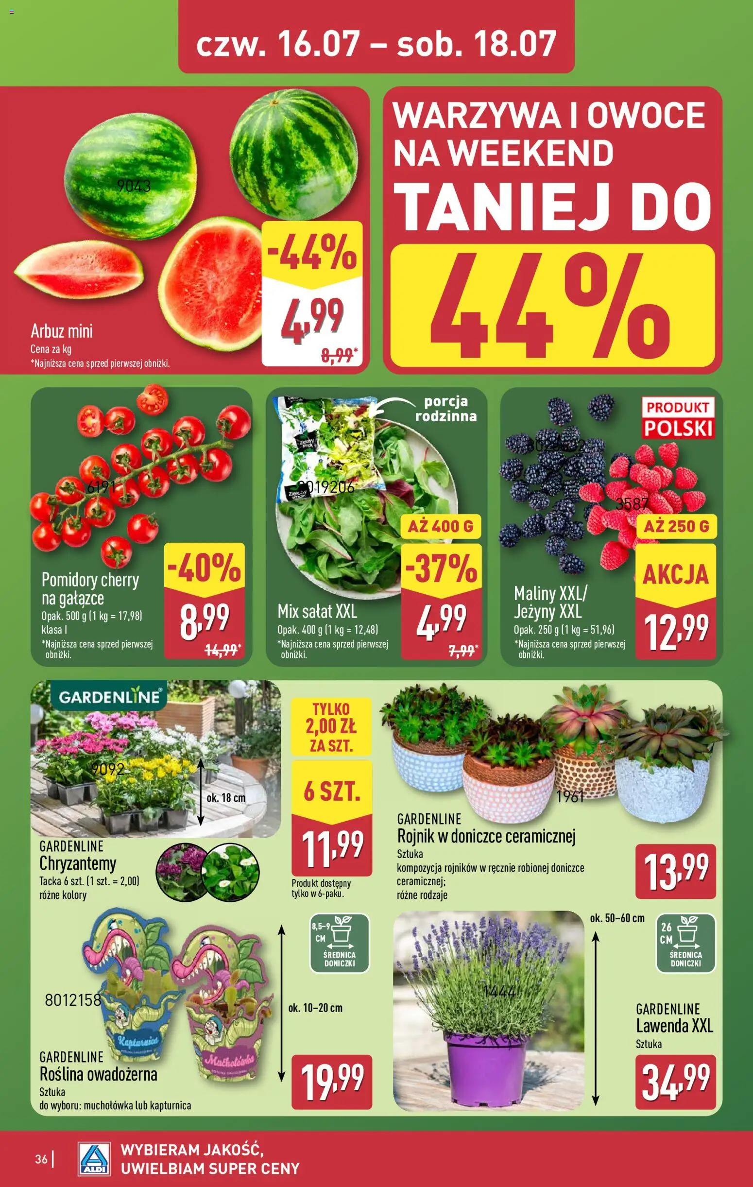 Aldi Polsko leták od 13.07.2026 | Strana: 36