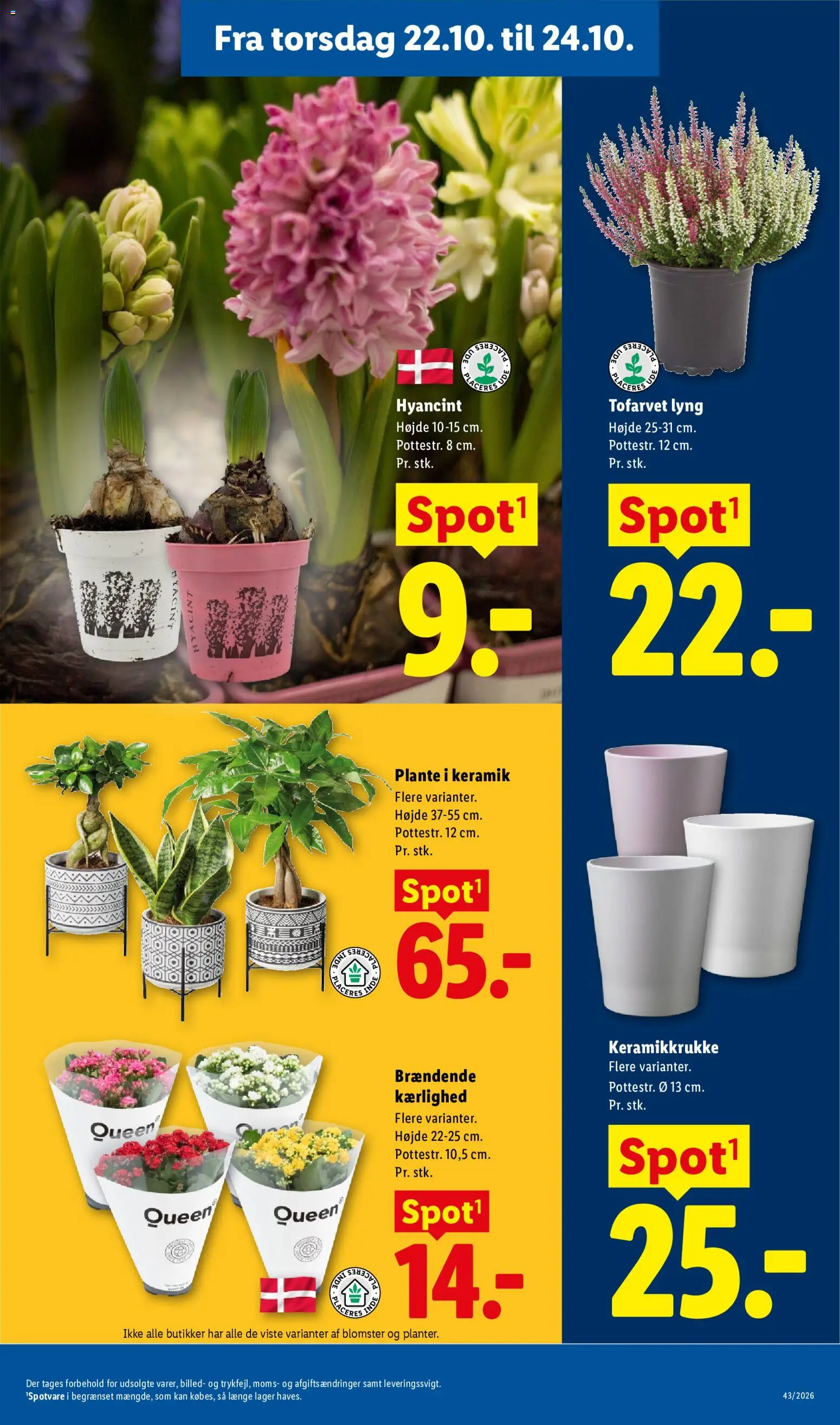 Lidl tilbudsavis – gyldig fra 18/10/2026 | Side: 12 | Produkter: Søm