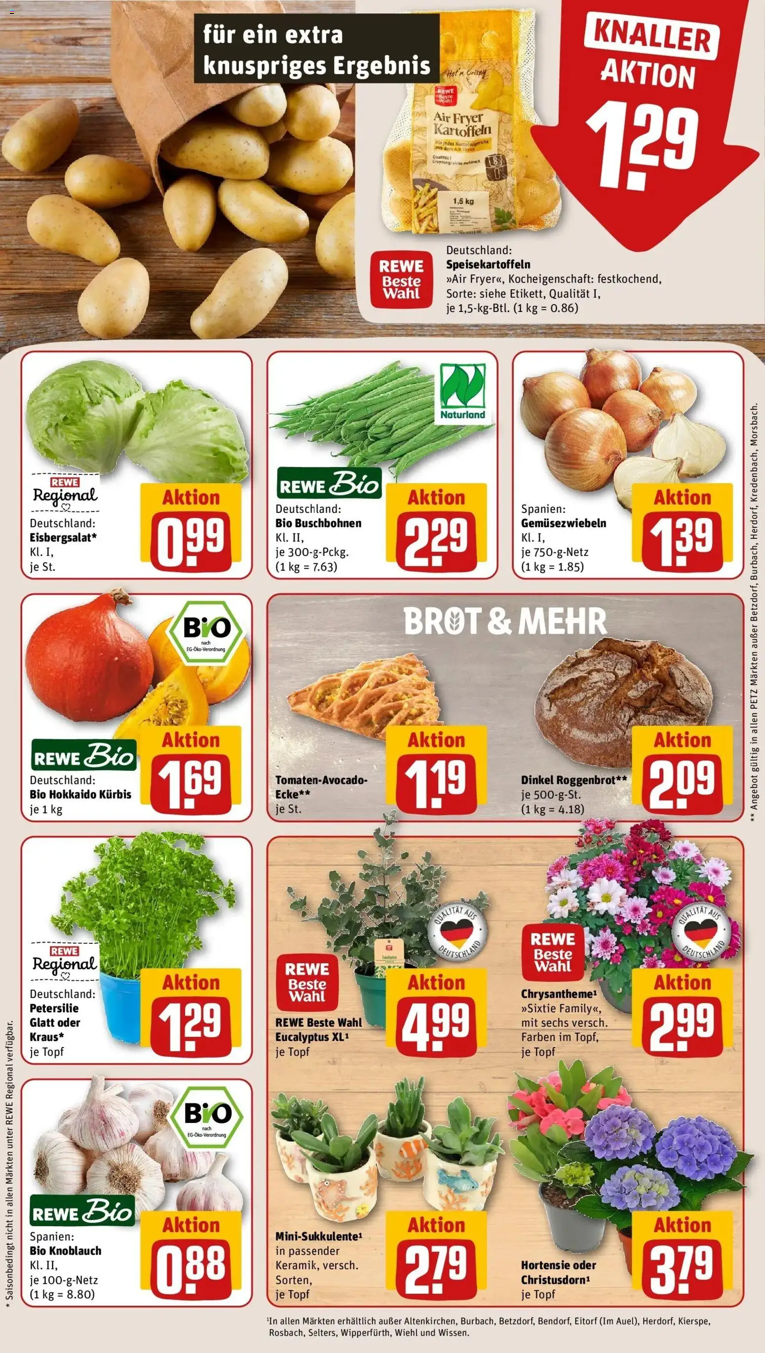 REWE Prospekt ab 24.08.2026 zum Blättern » Angebote | Seite: 7 | Produkte: Hortensie, Knoblauch, Petersilie, Brot