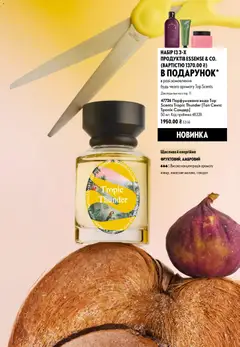 Oriflame акції дійснийкції з 02.08.2026 | Сторінка: 9 | Товари: Вода, Парфумована вода