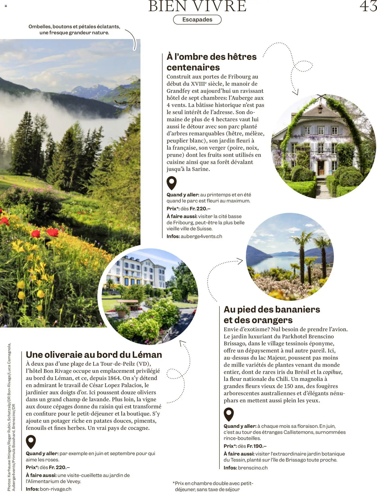 Migros aktionen Magazine FR – gültig ab 10.06.2026 | Seite: 43