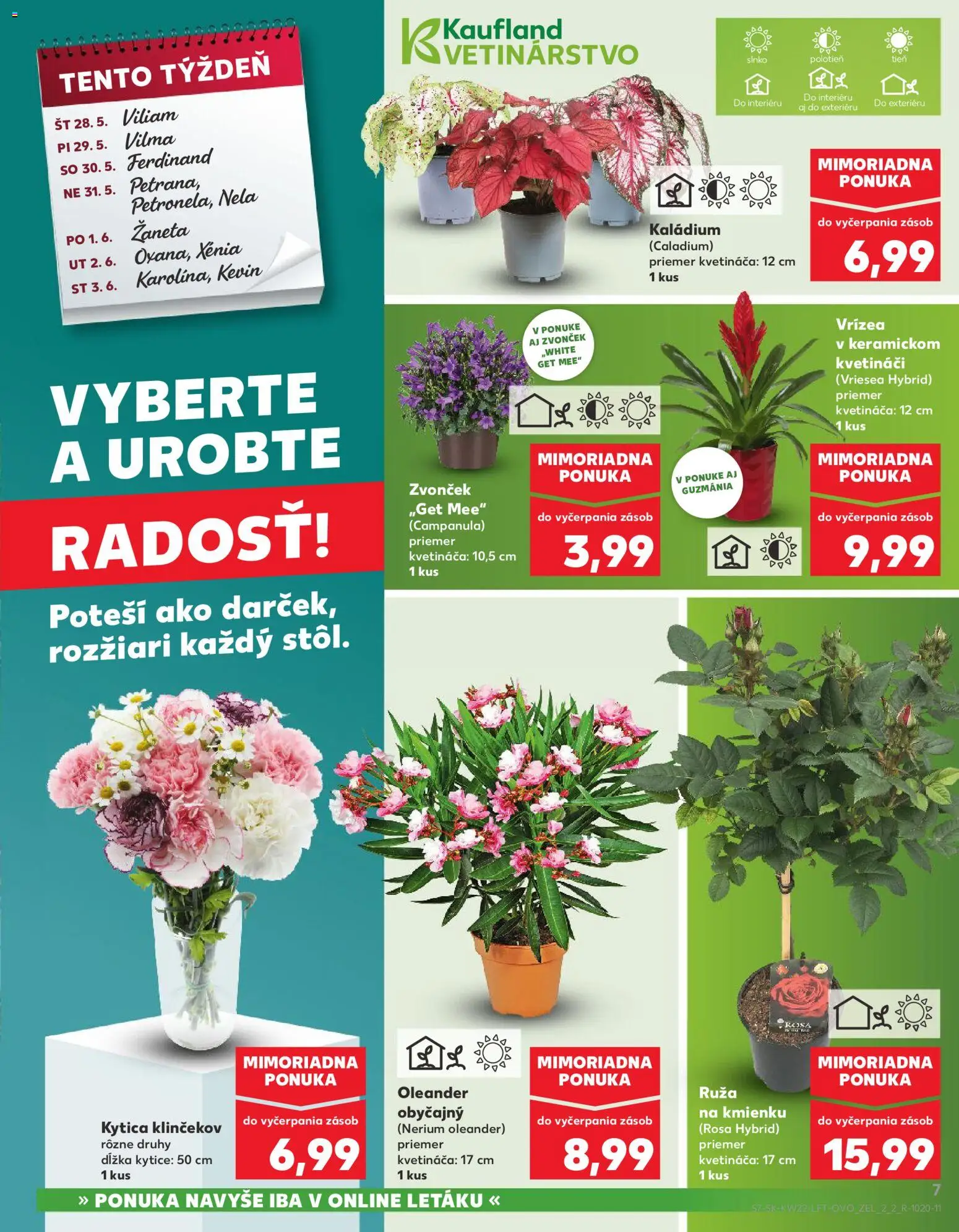 Nové Kaufland akcie – leták je platný od 28.05.2026 | Strana: 7 | Produkty: Zvonček