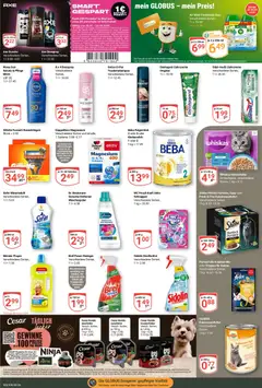 Globus Prospekt ab 20.07.2026 gültig | Seite: 17 | Produkte: Katzenfutter, Dusche, Mars, Whiskas
