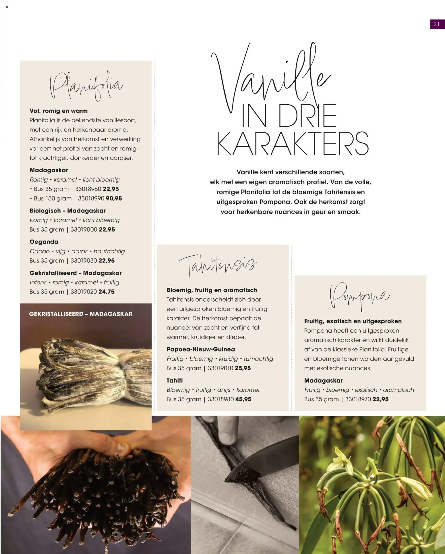 {H1} | Pagina: 21 | Producten: Cacao, Vanille, Geur