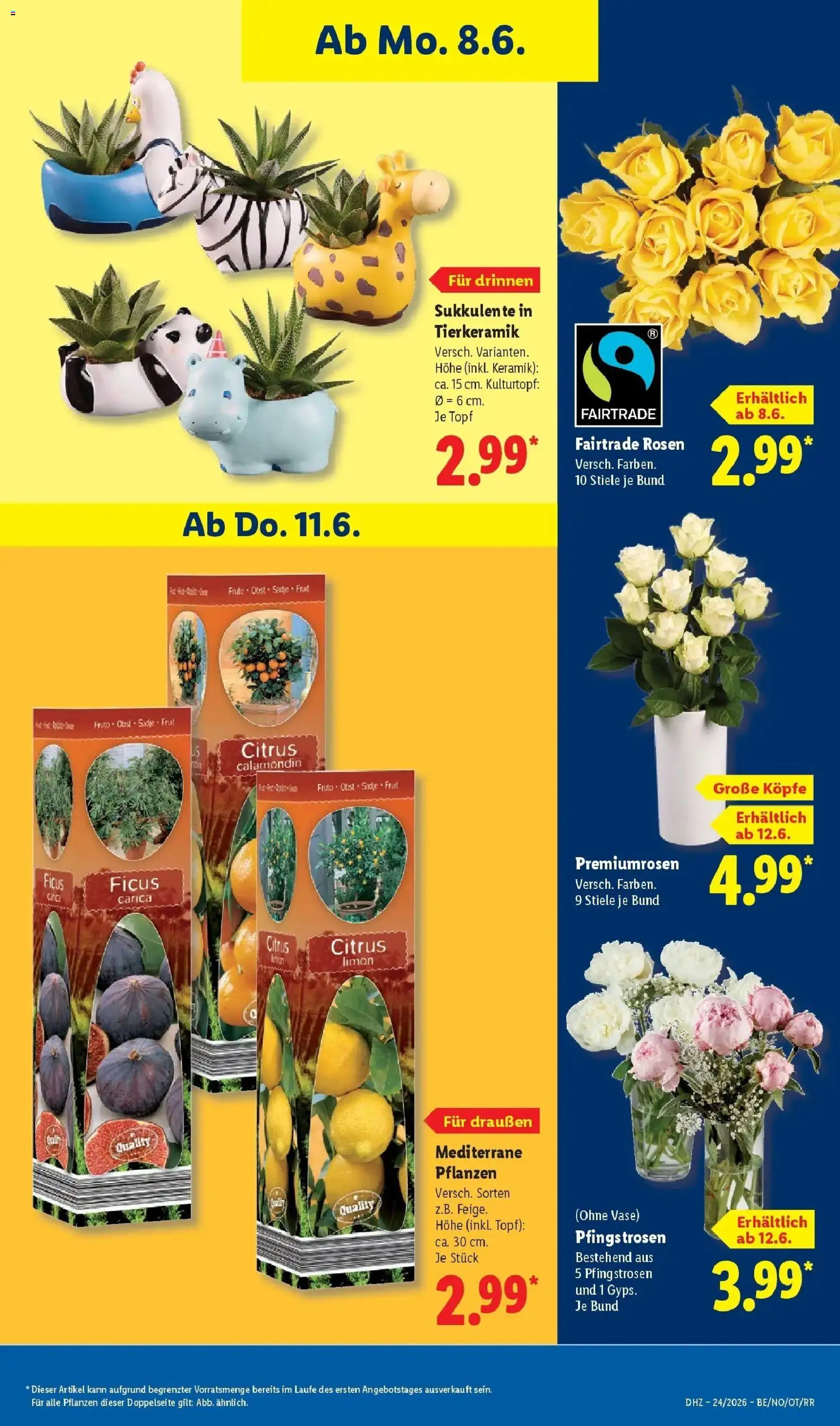 Lidl Prospekt Zülpich – gültig ab 08.06.2026 | Seite: 69 | Produkte: Vase, Obst