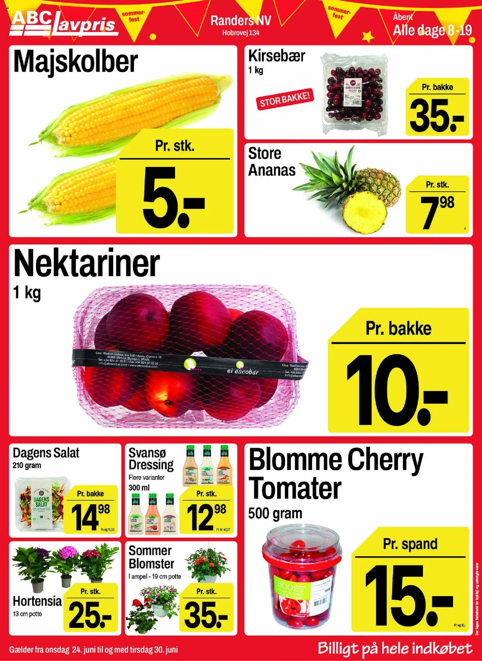 Abc Lavpris tilbudsavis – gyldig fra 24/06/2026 | Side: 2 | Produkter: Ananas, Kirsebær, Dressing, Cherry