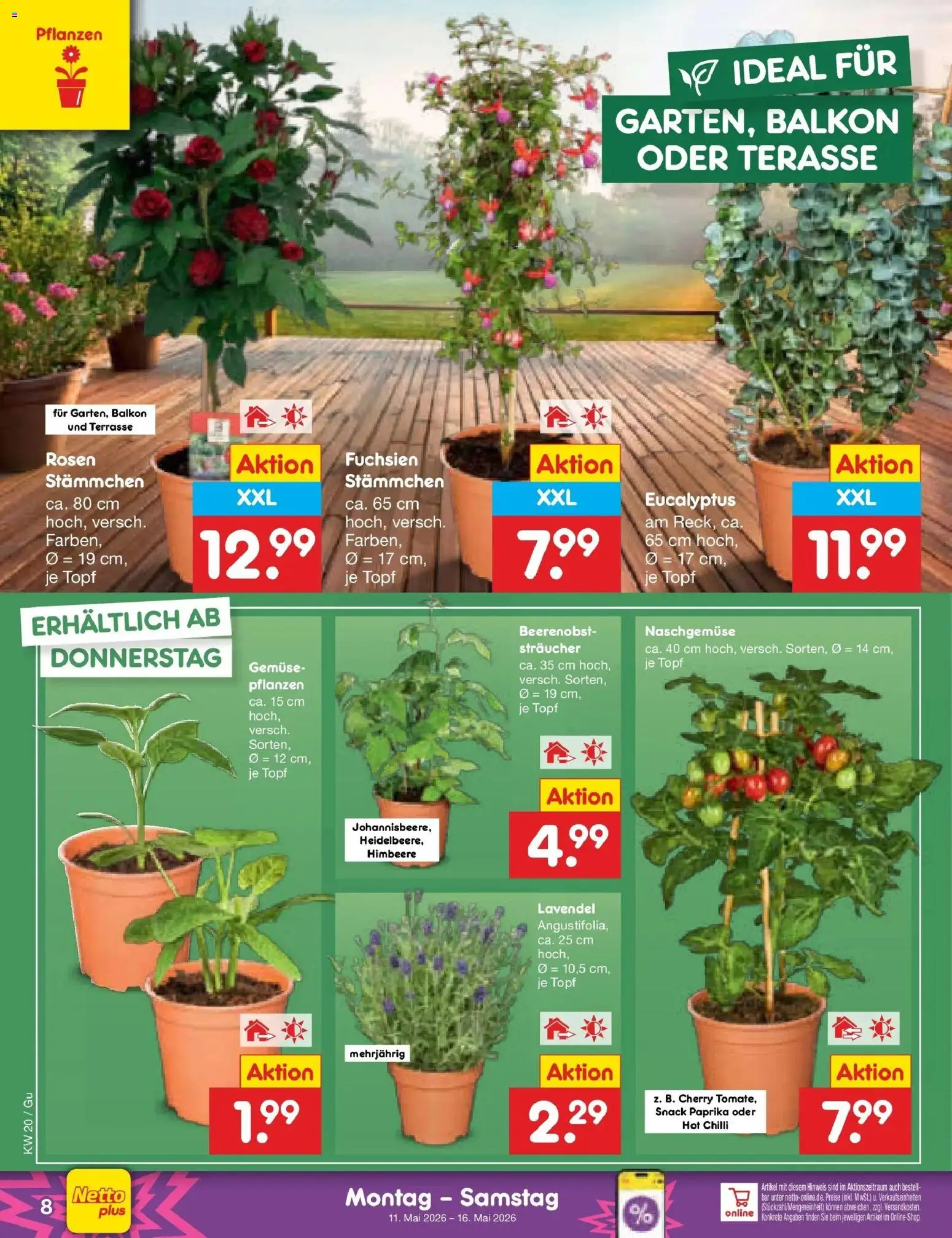 Netto Marken-Discount Prospekt Machern	 – gültig ab 10.05.2026 | Seite: 9 | Produkte: Gemüse, Paprika, Himbeere, Lavendel