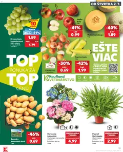 Kaufland leták platný od 02.07.2026 | Strana: 13