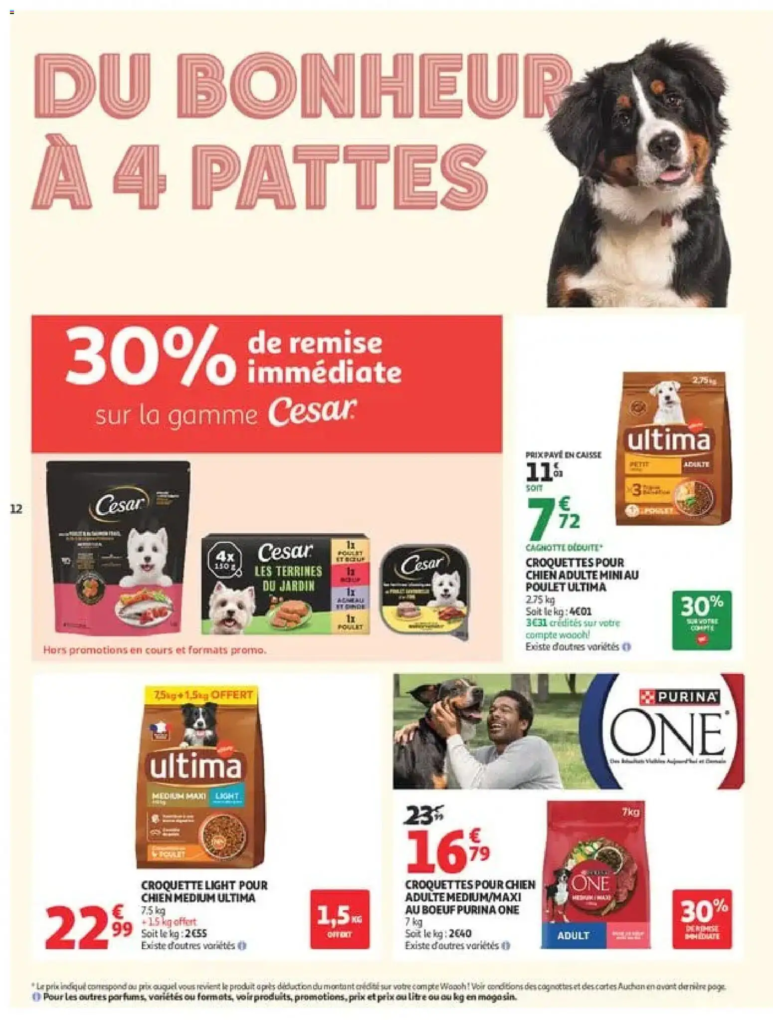 {H1} | Page: 14 | Produits: Croquettes, Purina One croquettes, Poulet, Croquettes pour chien