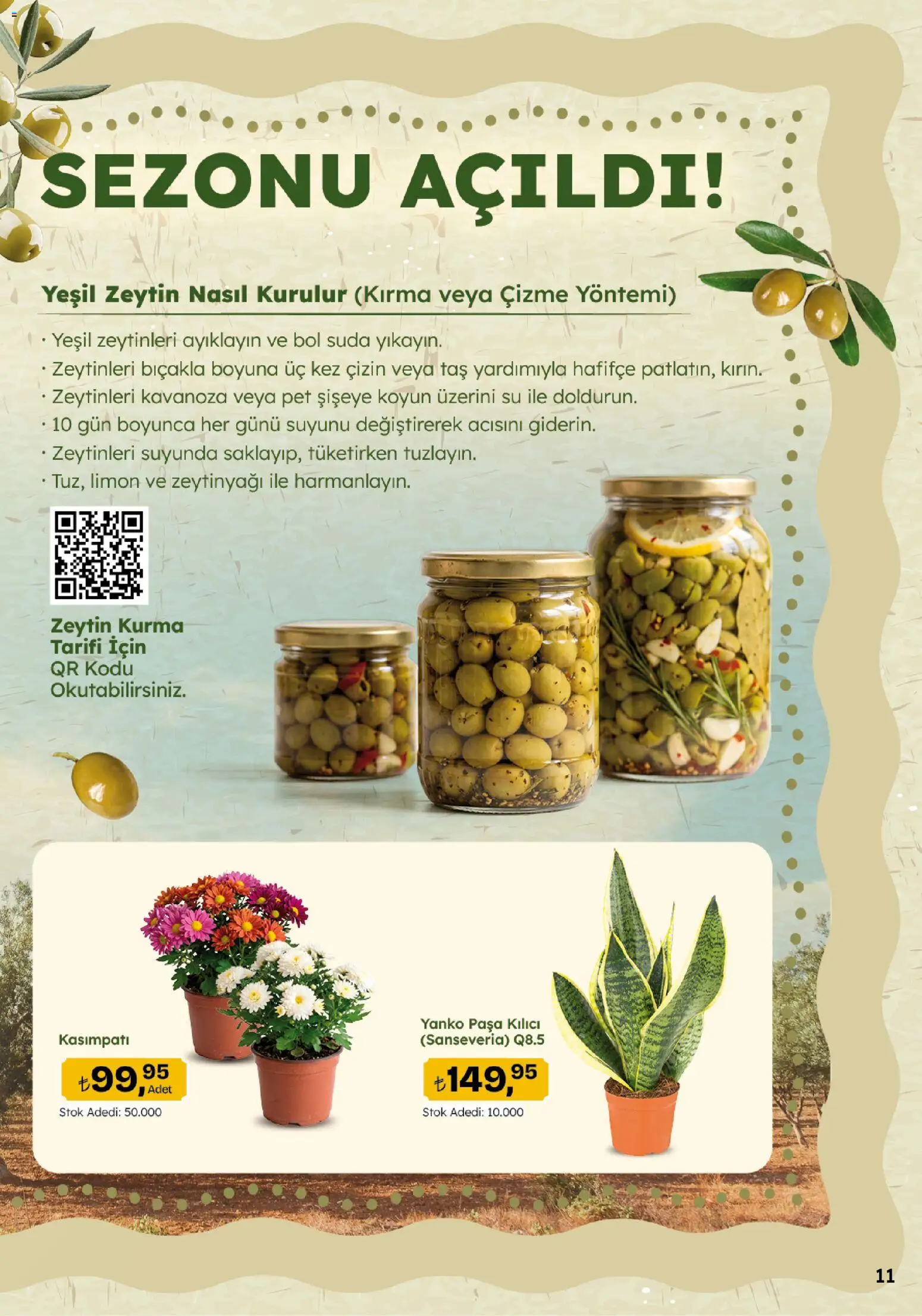 Migros Katalog - Migroskop - 08 Ekim 2026 tarihinden itibaren geçerlidir | Sayfa: 11 | Ürünler: Su, Limon, Zeytinyağı, Zeytin