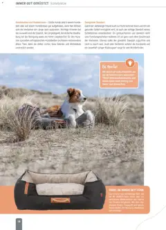 zookauf Themenkatalog Hund ab 18.05.2026 gültig | Seite: 18 | Produkte: Bett