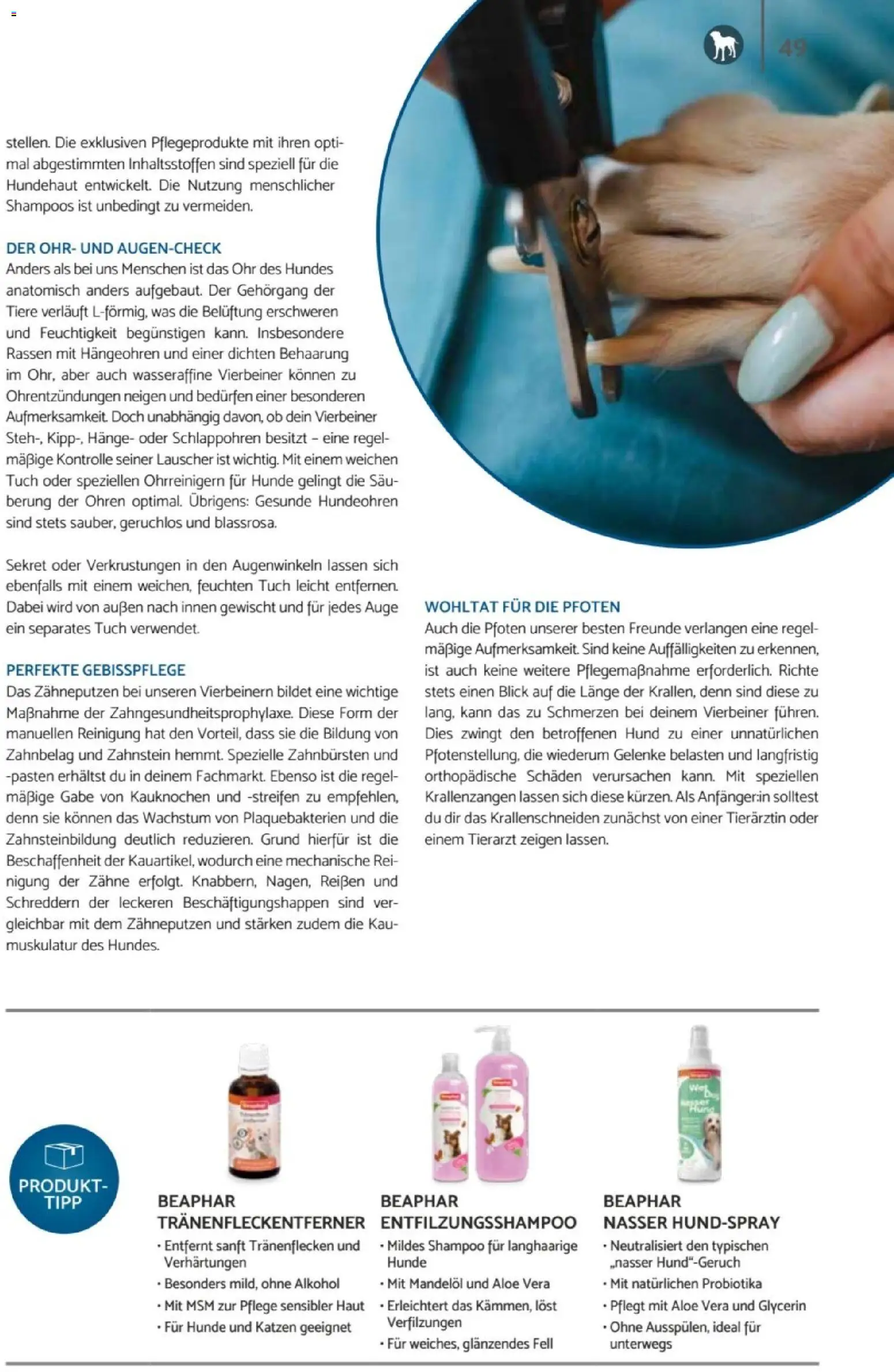 zookauf Heimtier Journal – gültig ab 01.06.2026 | Seite: 49 | Produkte: Shampoo