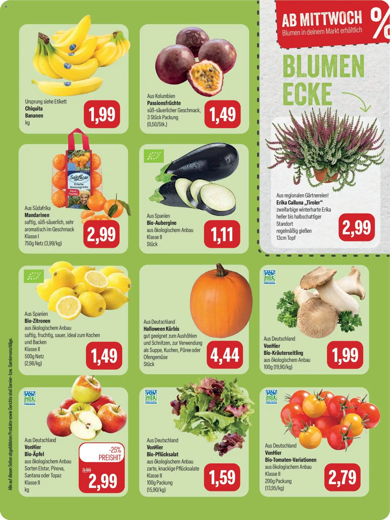 Feneberg Angebote – gültig ab 12.10.2026 | Seite: 9 | Produkte: Blumen, Mandarinen, Gerichte, Kürbis